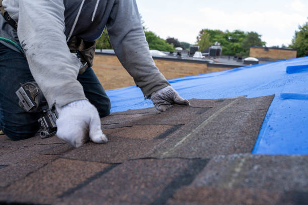 Residential Roof Replacement in Venice Gardens, FL